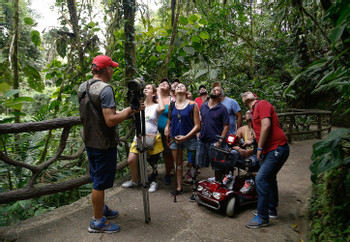 Mistico Hanging Bridges Private Birdwatching Tour photo 5