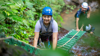 Rainforest Falls photo 4