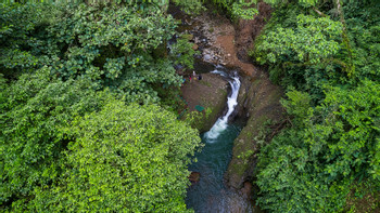 Rainforest Falls photo 2