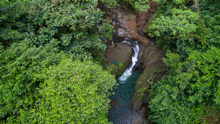 Rainforest Falls photo 2