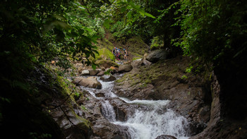 Rainforest Falls photo 5