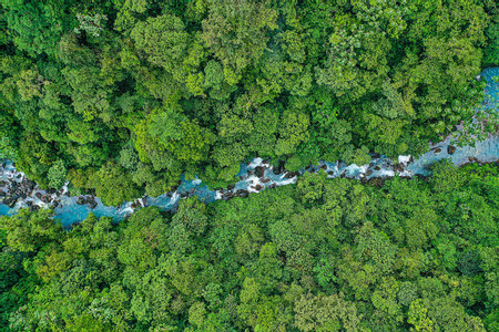 Rio Celeste Hike photo 3