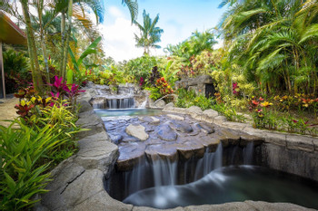 Titoku Hot Springs plus Dinner photo 4
