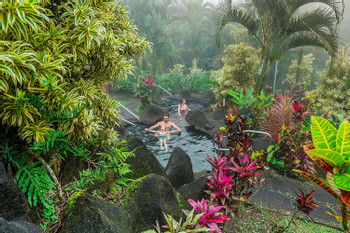 Titoku Hot Springs plus Dinner photo 3