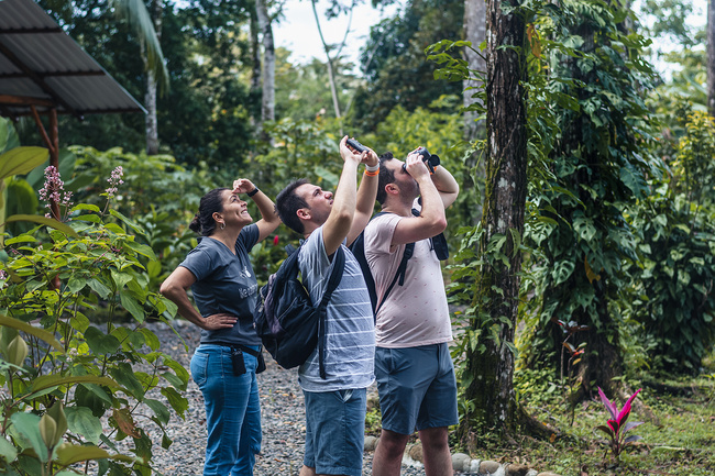 Wildlife Tour + Sloth (HDT +Sloth) Photo