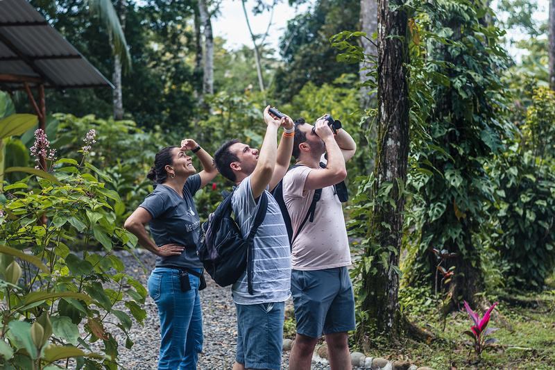 Wildlife Tour + Sloth (HDT +Sloth) photo