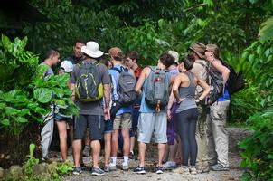 Wildlife Tour & Volunteering + Sloth (HDTV + Sloth) photo 3