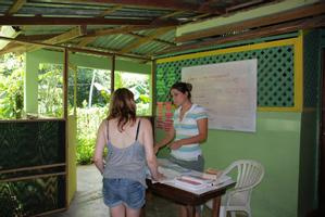 Wildlife Tour & Volunteering + Sloth (HDTV + Sloth) Photo