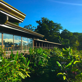 Arenal Lodge photo 5