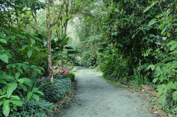 Arenal Oasis Eco Lodge