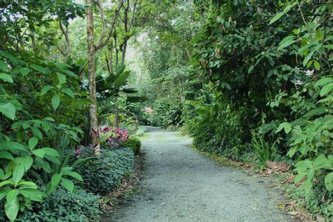 Arenal Oasis Eco Lodge Costa Rica