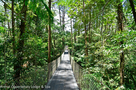 Arenal Observatory Lodge & Trails