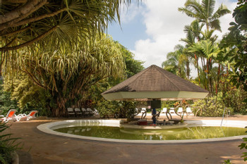Arenal Paraiso Resort and Spa photo 4