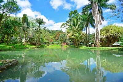 Chachagua Rain Forest Eco Lodge Costa Rica