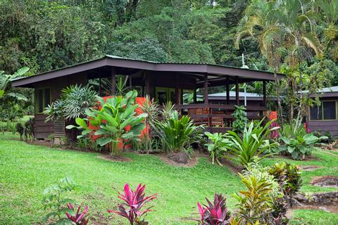 Chachagua Rain Forest Eco Lodge Costa Rica