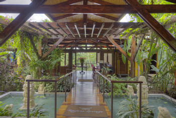 Nayara Springs photo 3