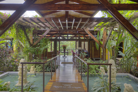 Nayara Springs photo 3