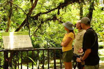 4 in 1 Tour - Hanging Bridges, La Fortuna Waterfall, Volcano Hike and Baldi Hot Springs photo 4