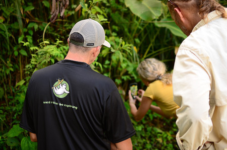 4 in 1 Tour - Hanging Bridges, La Fortuna Waterfall, Volcano Hike and Baldi Hot Springs photo 3