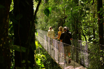 4 in 1 Tour - Hanging Bridges, La Fortuna Waterfall, Volcano Hike and Baldi Hot Springs photo 5