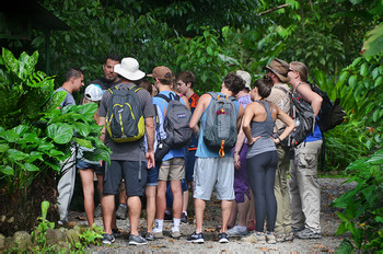 Wildlife Tour & Volunteering (HDTV) photo 3