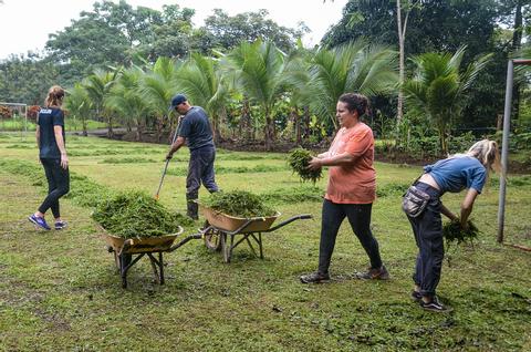 Proyecto Asis Half Day Tour with Volunteering Costa Rica