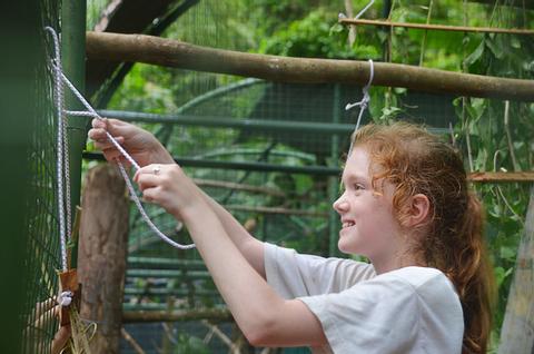 Proyecto Asis Half Day Tour with Volunteering Costa Rica