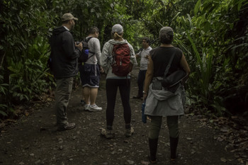 Bogarin Trail Nature Walk photo 5