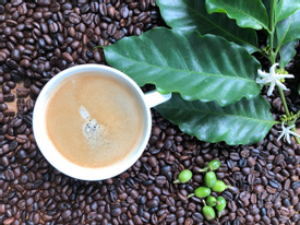 Eden Chocolate Tour and Coffee Experience
