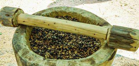 Don Juan Coffee and Chocolate Tour Arenal Costa Rica