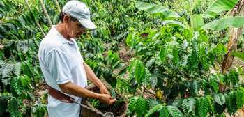 Don Juan Coffee and Chocolate Tour Arenal