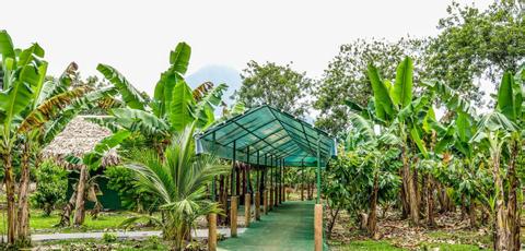 Don Juan Coffee and Chocolate Tour Arenal Costa Rica