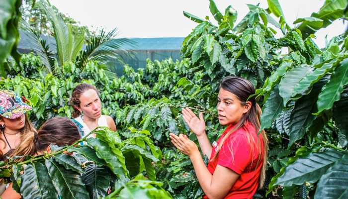 Don Juan Coffee and Chocolate Tour Arenal