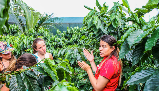 Regular Tour - Don Juan Coffee and Chocolate Tour Arenal Photo