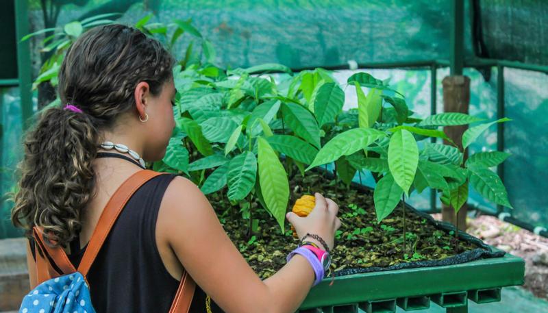 Don Juan Coffee & Chocolate Tour – Arenal, Costa Rica