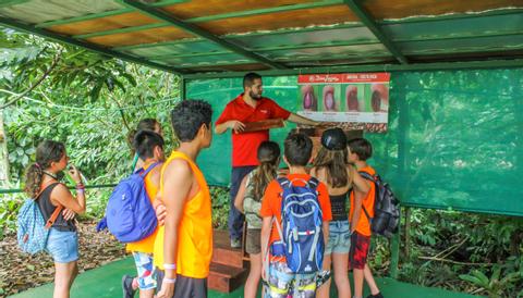 Don Juan Coffee and Chocolate Tour Arenal Costa Rica