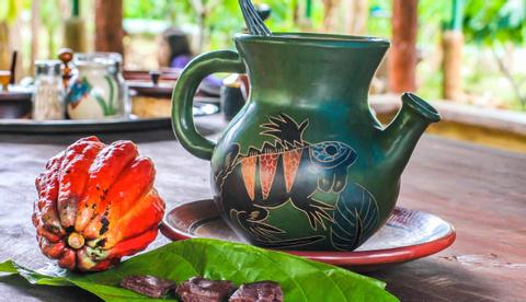 Don Juan Coffee and Chocolate Tour Arenal Costa Rica