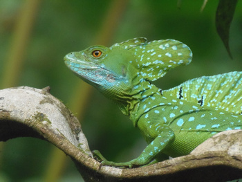 Ecocentro Danaus