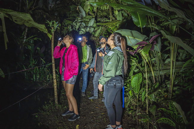 EcoGarden Arenal Night Tour photo