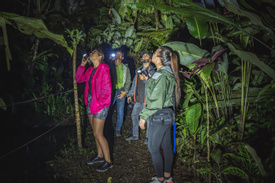 EcoGarden Night Tour