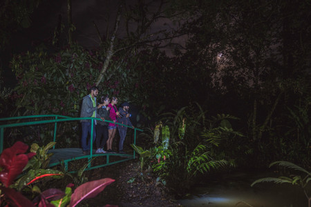 EcoGarden Arenal Night Tour photo 2