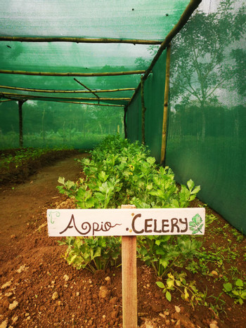 Farm and Cooking Experiences photo 5
