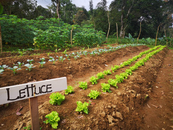 Farm and Cooking Experiences photo 3