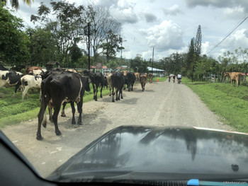 La Guaria Half Day Loop Biking Tour photo 3