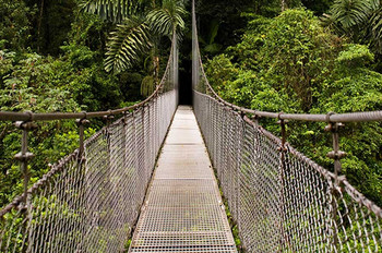 2-in-1 Hanging Bridges & Volcano Hike