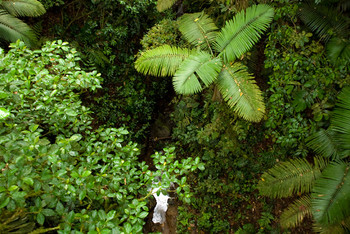 2-in-1 Hanging Bridges & Volcano Hike photo 5