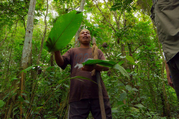 Arenal, Costa Rica Cultural