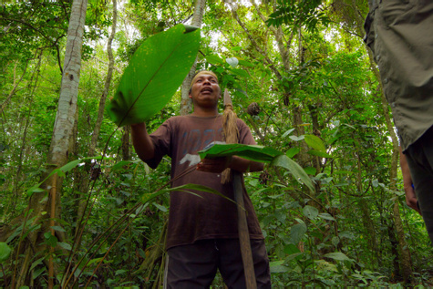 Maleku Indigenous Reserve