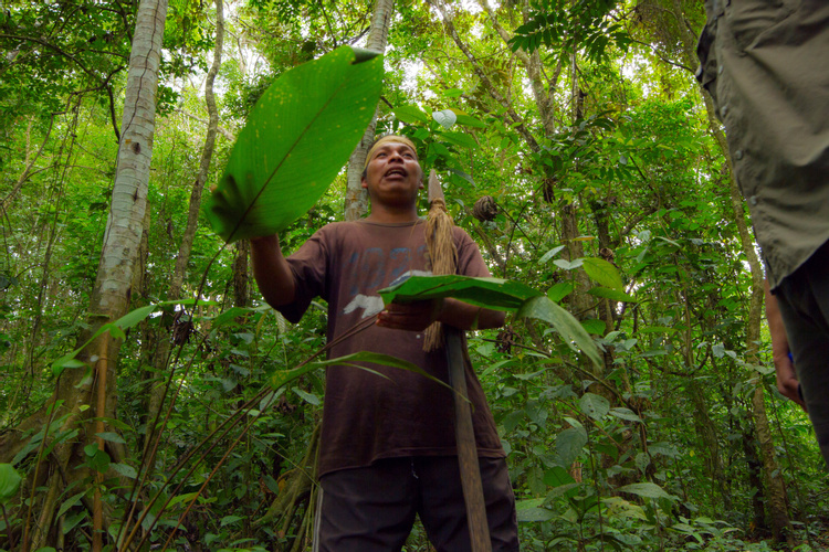 Maleku Indigenous Reserve 