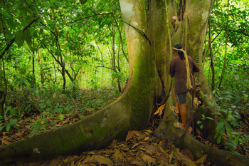 Maleku Indigenous Reserve  photo 3